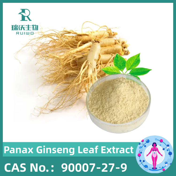 Panax Ginseng Leaf Extract