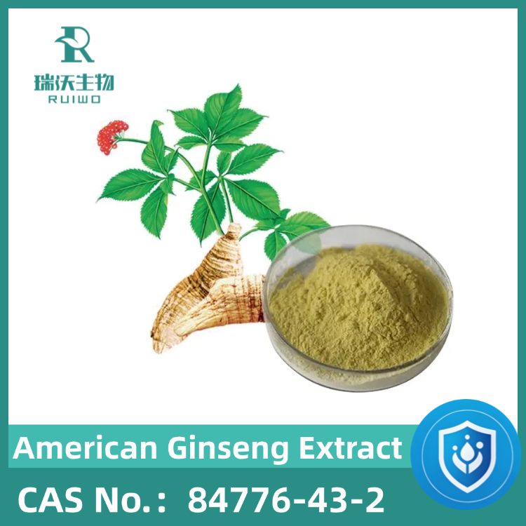 American Ginseng Extract