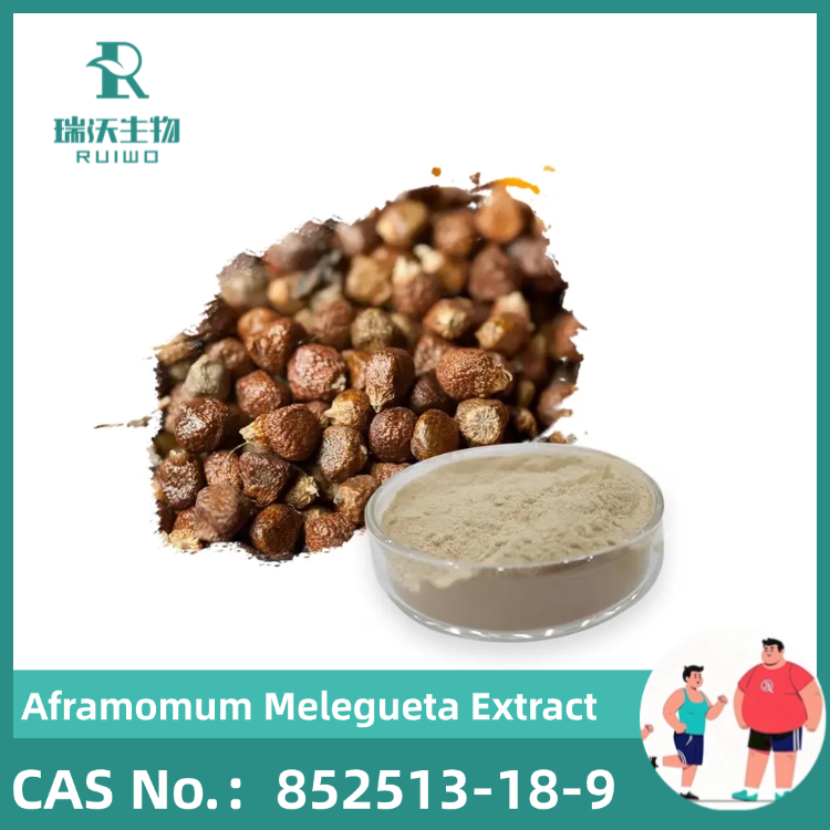 Aframomum Melegueta Extract