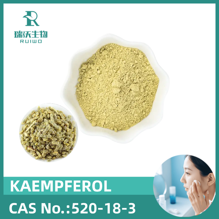 FACTORY OFFER 100% NATURAL KAEMPFEROL, SOPHORA JAPONICA EXTRACT