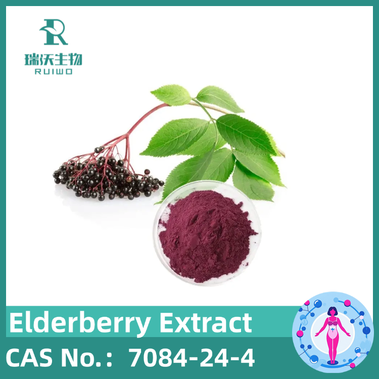 Elderberry Extract