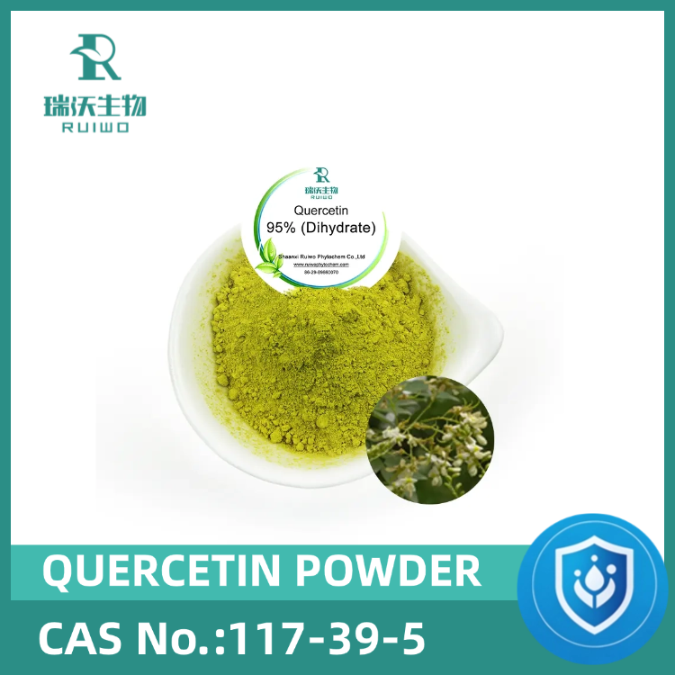 Quercetin Powder 95%