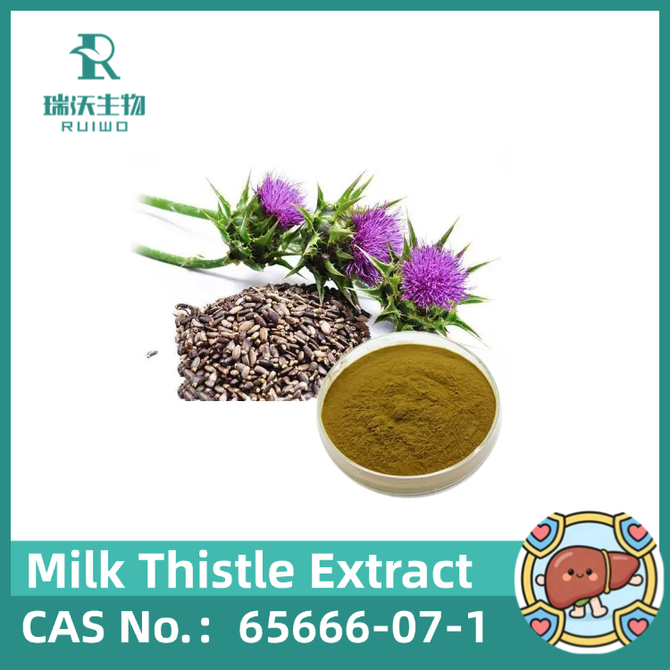 Milk Thistle Extract