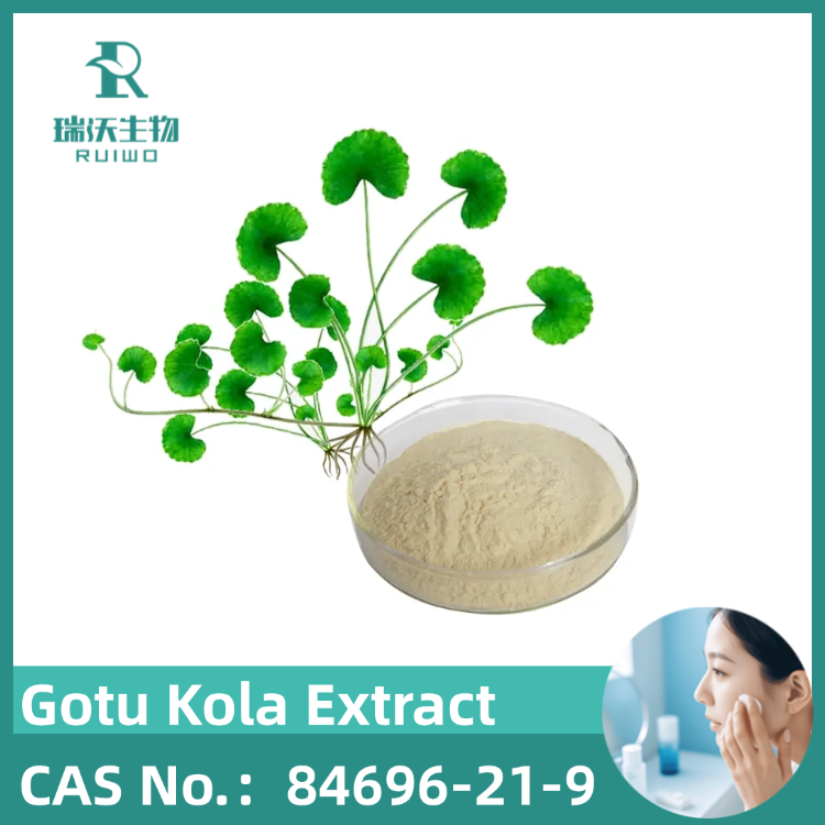 Gotu Kola Extract