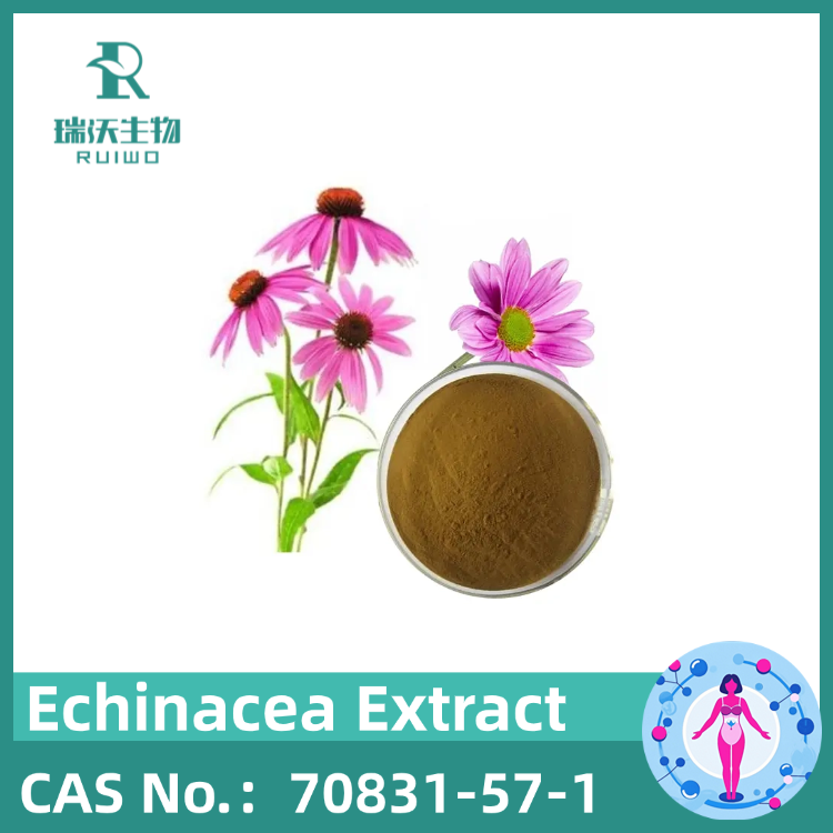 Echinacea Extract