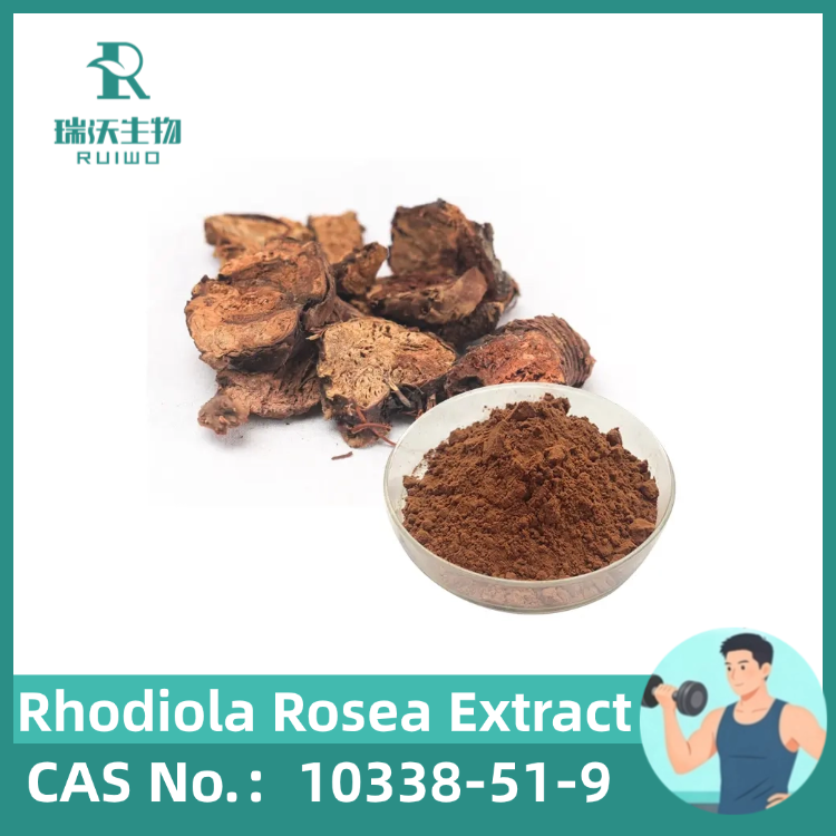 Rhodiola Rosea Extract