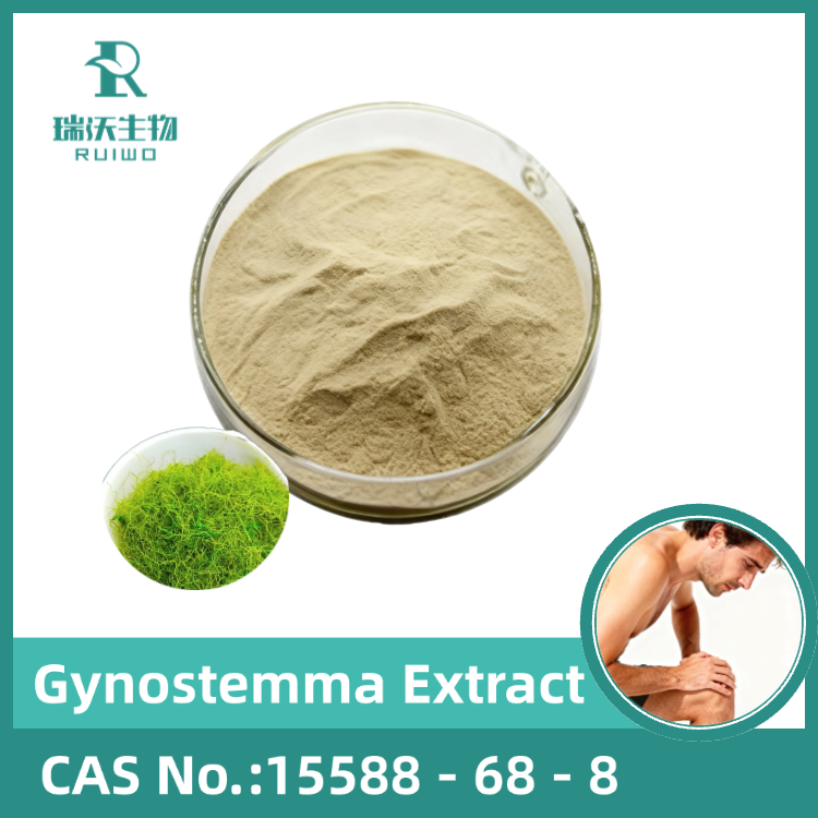 Factory Supply Gynostemma Extract