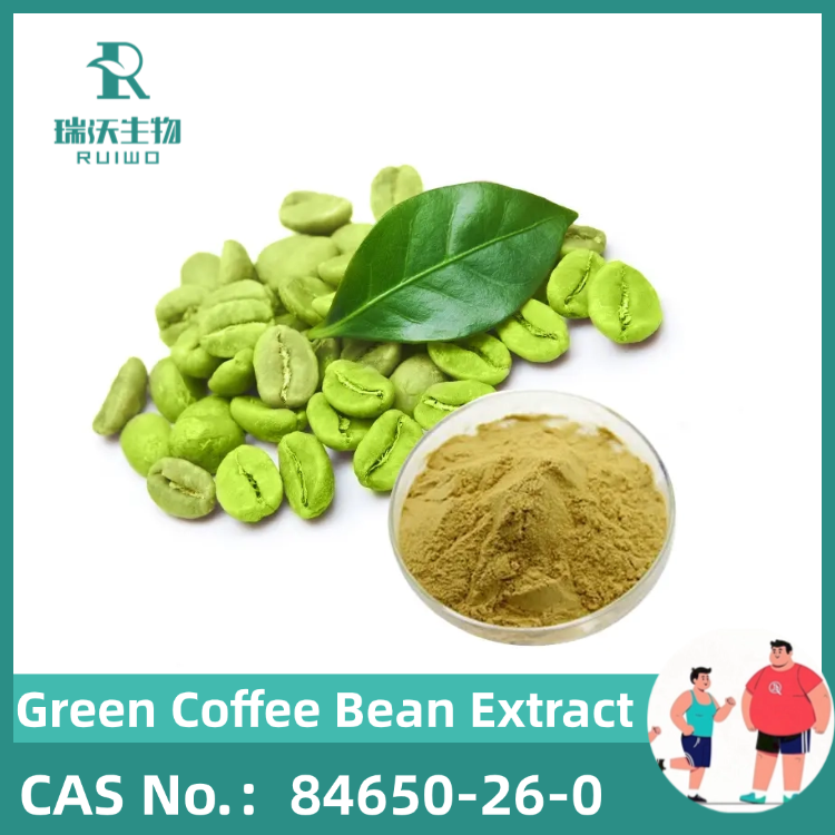 Green Coffee Bean Extract